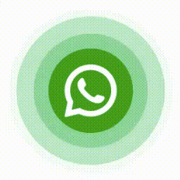 Live App